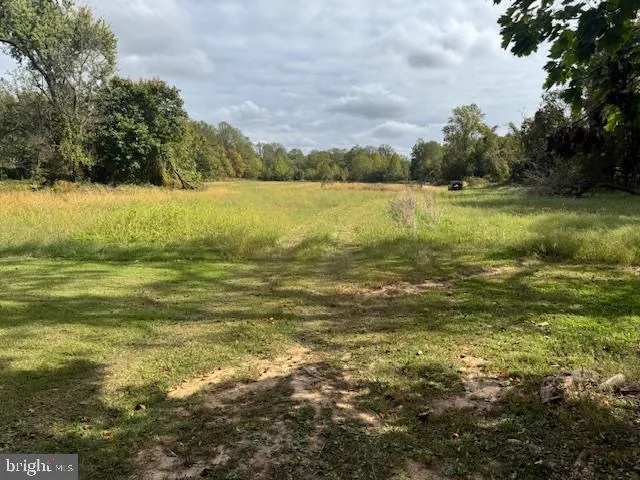 a view of an ocean from a yard