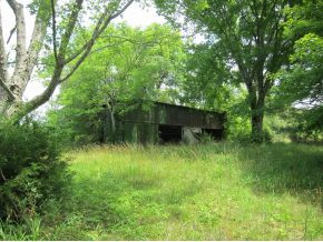 Tbd Old Kentucky Road South Greeneville, TN 37743 - Photo 2 of 6 Old barn