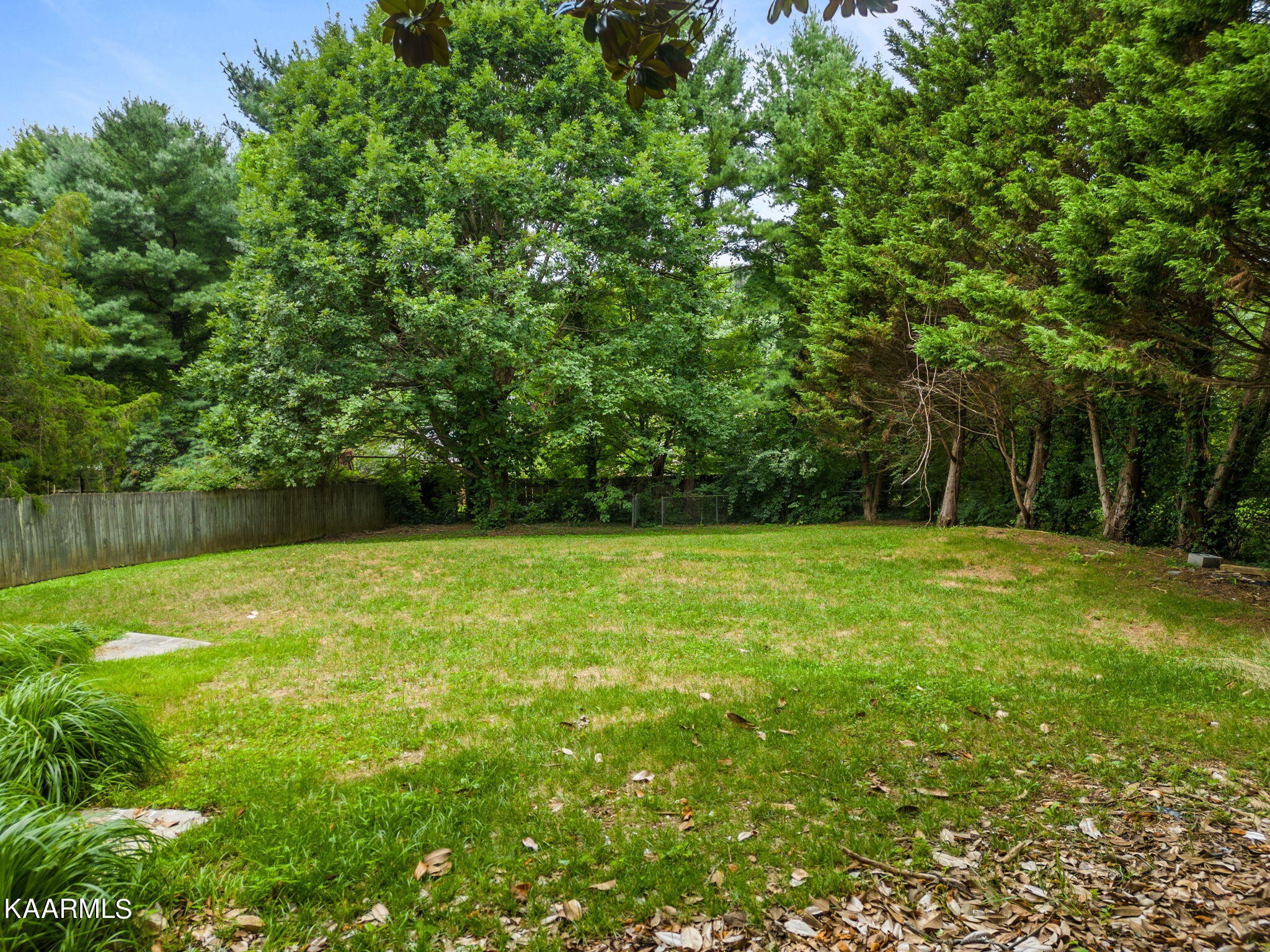 931 Pintail Road Knoxville, TN 37934 - Photo 40 of 51 a view of a yard with a trees