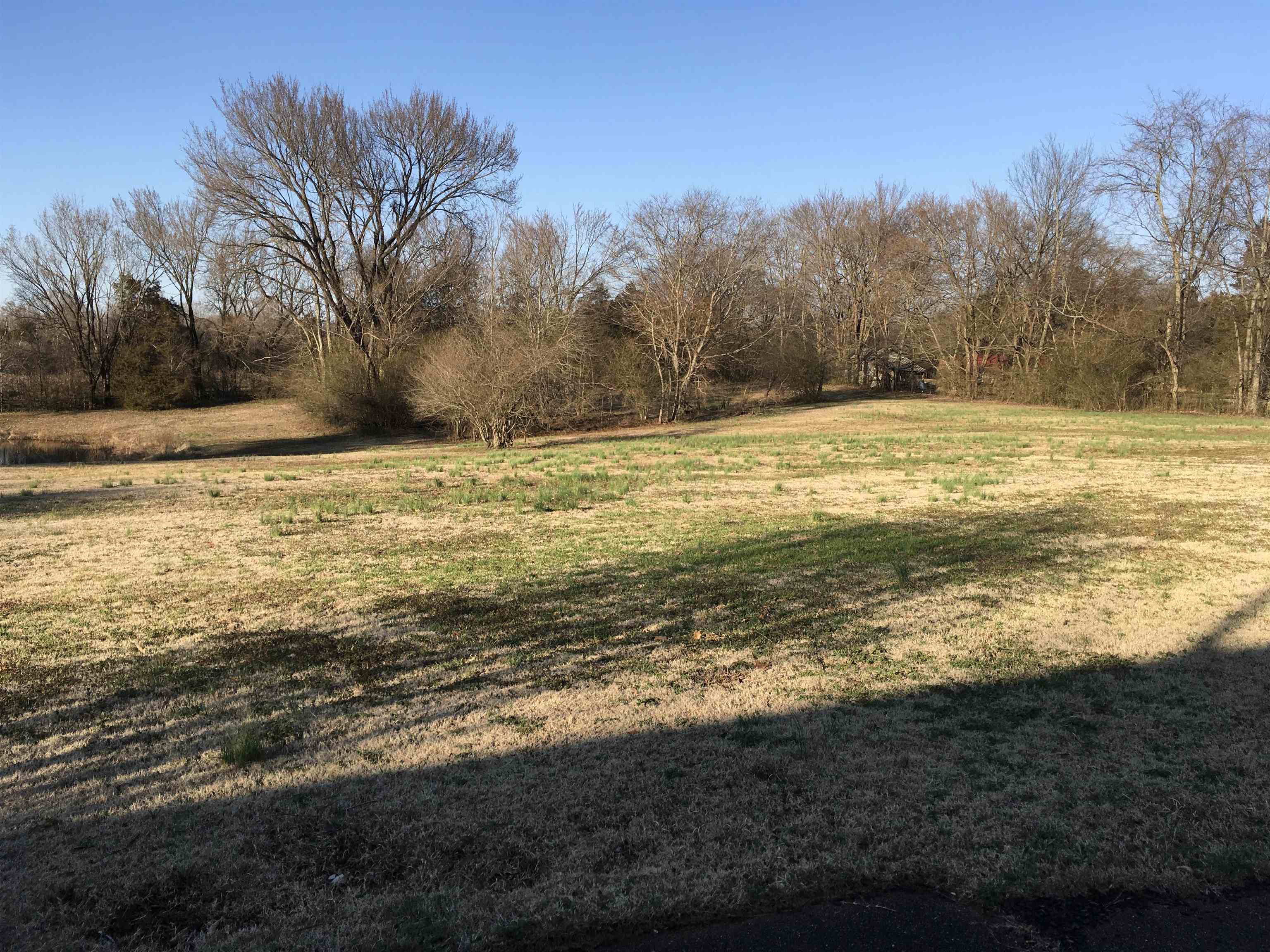11642 Macon Road Eads, TN 38028 - Photo 5 of 8 Gallery Image 5