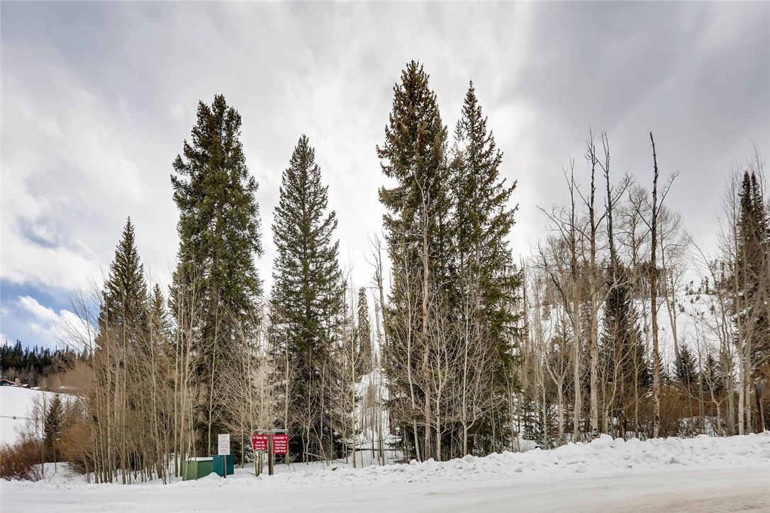 33 Emerald Road Silverthorne, CO 80498 - Photo 5 of 25 Matured aspens and pines on this lot.