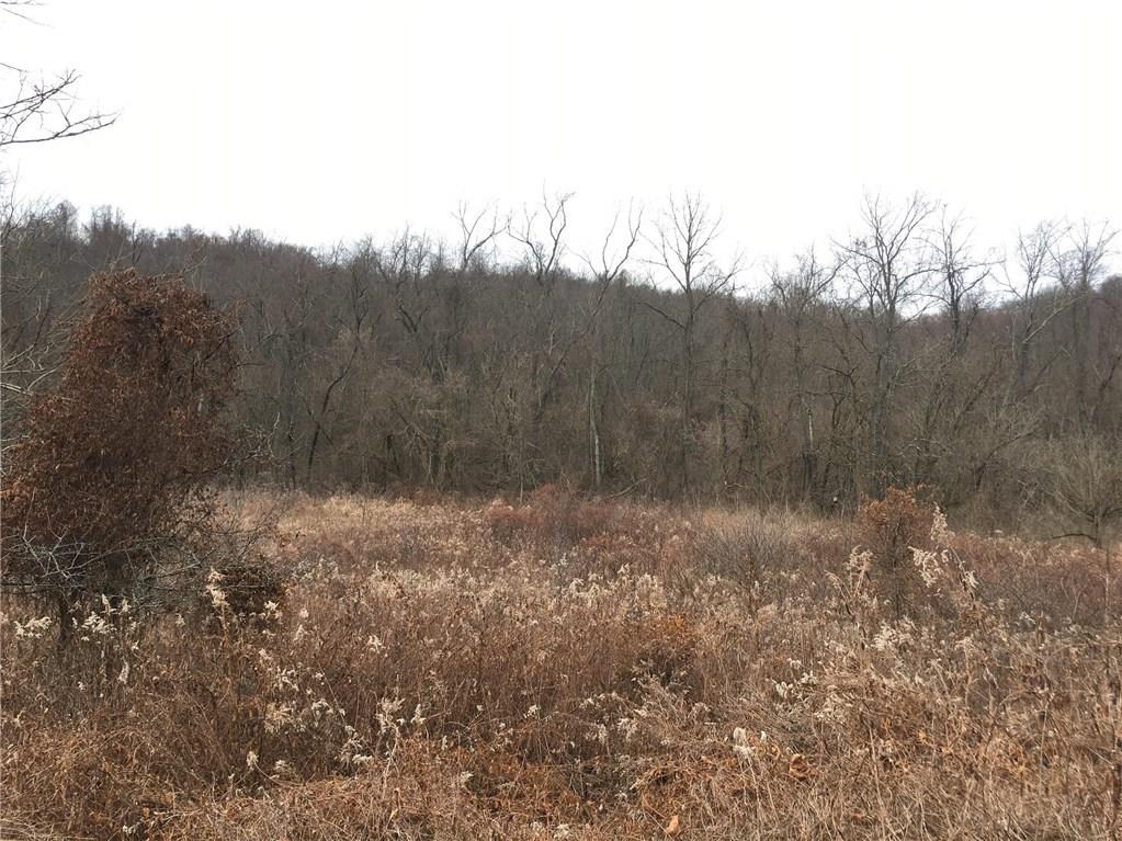 218 Sharpnack Hollow Road Jefferson, PA 15344 - Photo 1 of 4