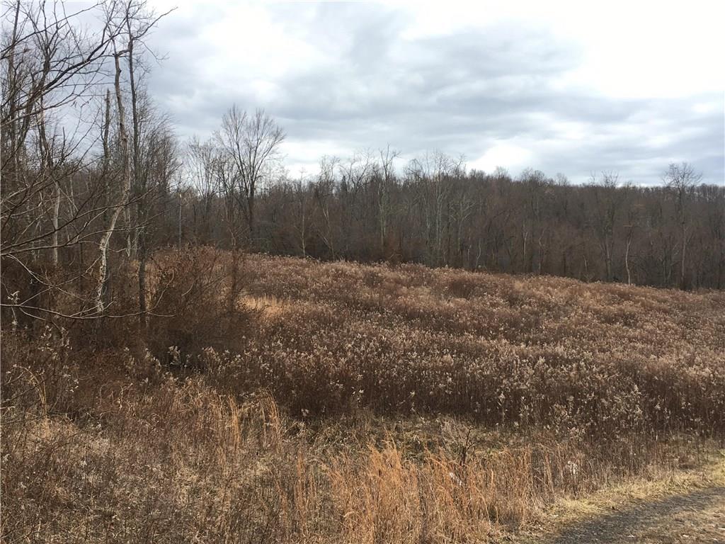 218 Sharpnack Hollow Road Jefferson, PA 15344 - Photo 2 of 4