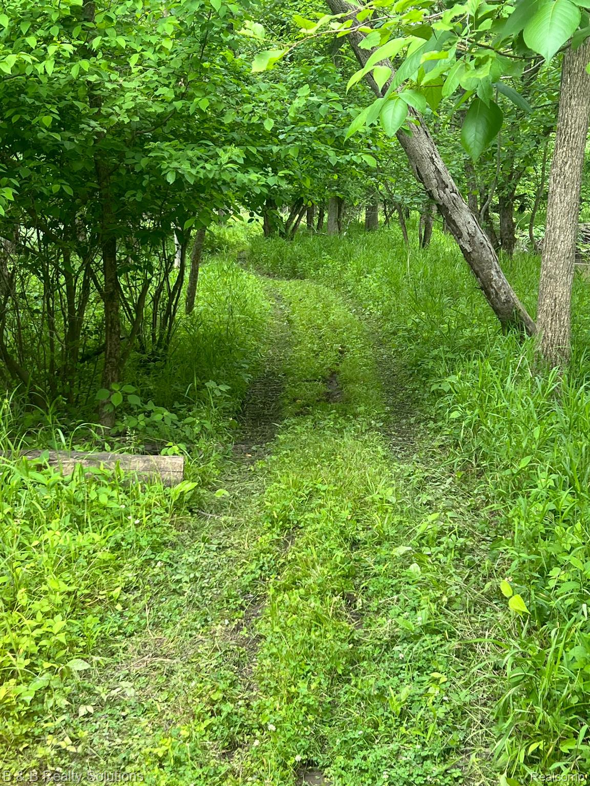 0 Ducker Road North Branch, MI 48461 - Photo 19 of 44 Gallery Image 19