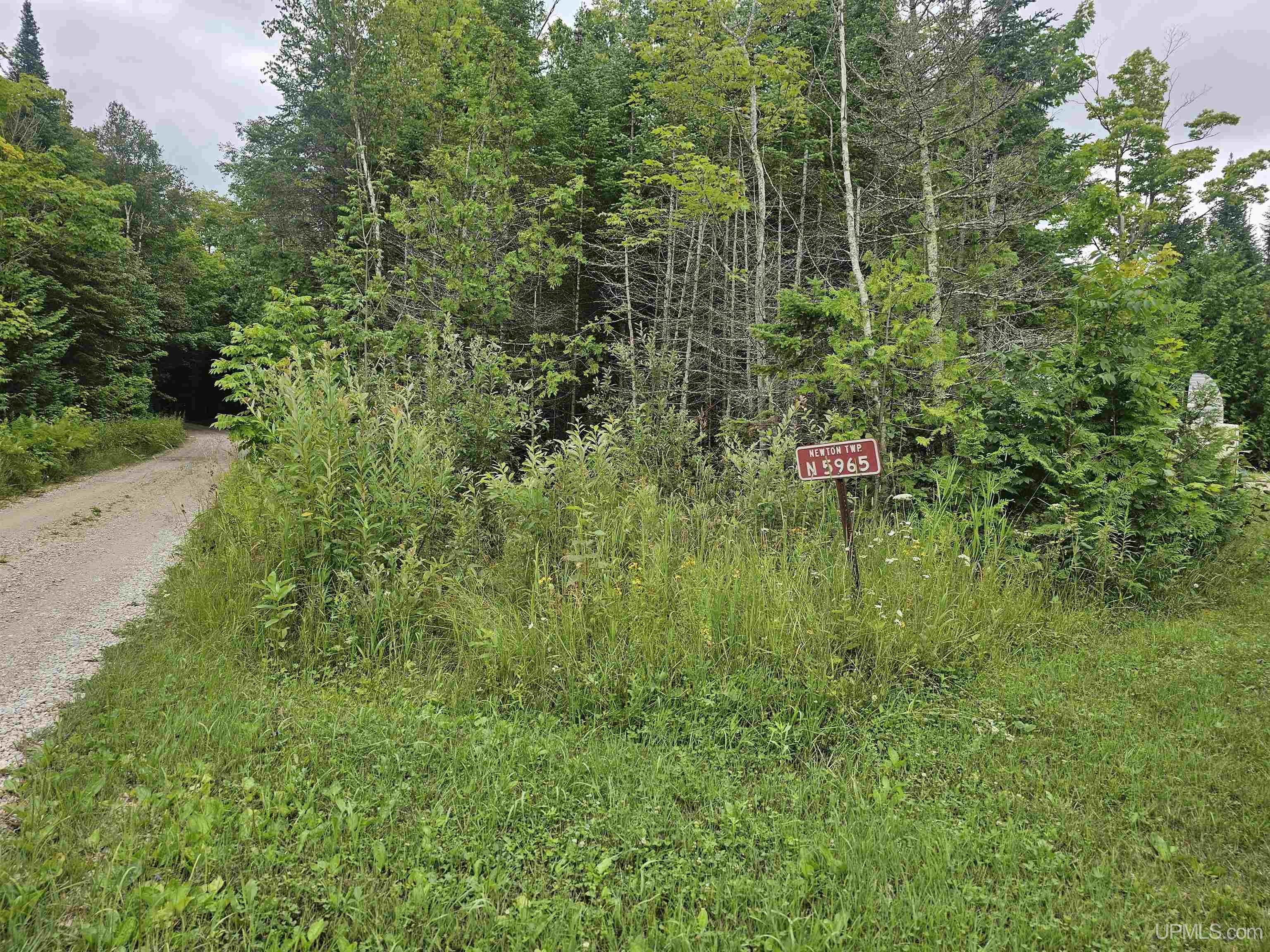 5965 Milakokia Lake Road Gould City, MI 49838 - Photo 25 of 41