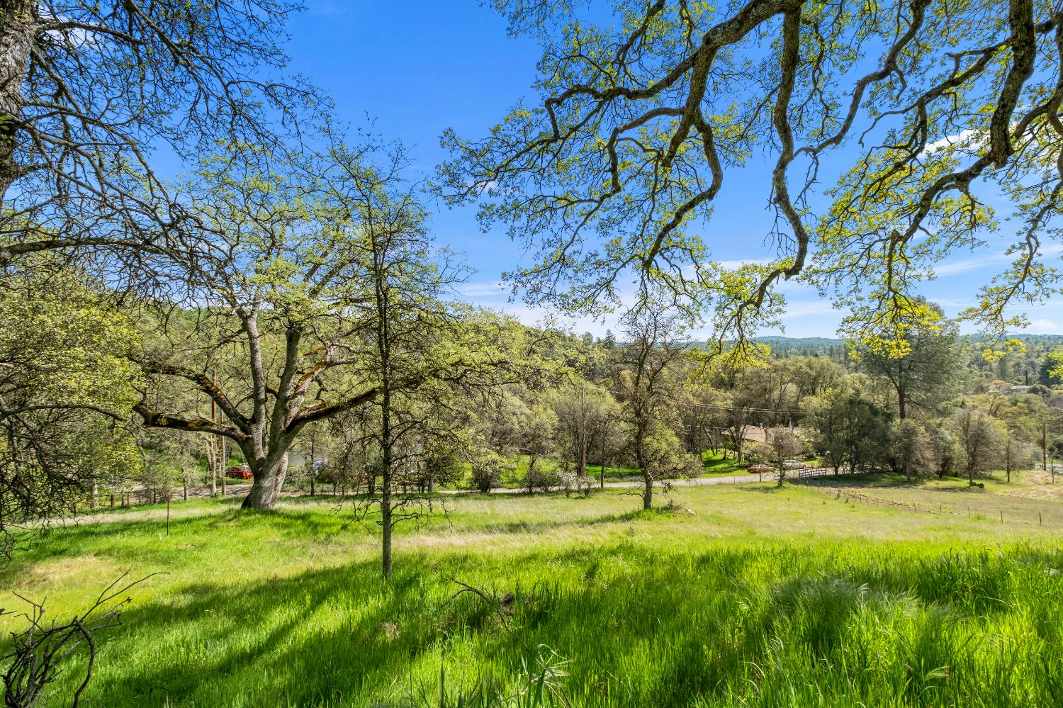 3099 Briw Road Placerville, CA 95667 - Photo 2 of 47 a view of yard with green space
