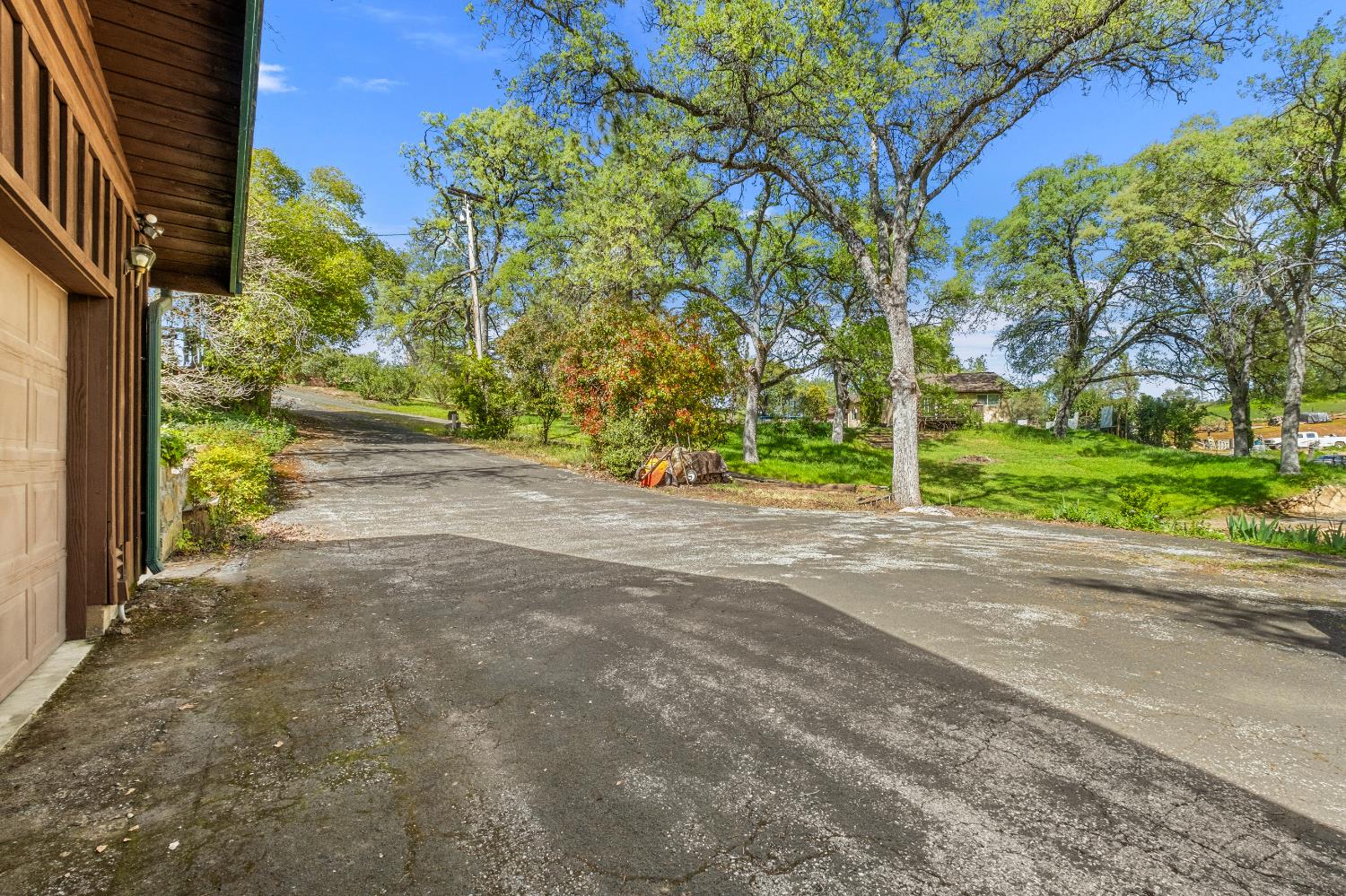 3099 Briw Road Placerville, CA 95667 - Photo 46 of 47 a view of a yard with plants and trees