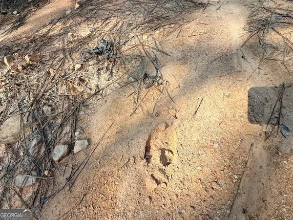 $74,165 | 14 Hollis Norman Road, Tignall, GA 30668