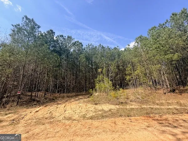 $74,165 | 14 Hollis Norman Road, Tignall, GA 30668