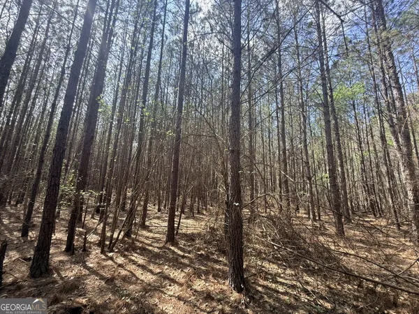 $74,165 | 14 Hollis Norman Road, Tignall, GA 30668