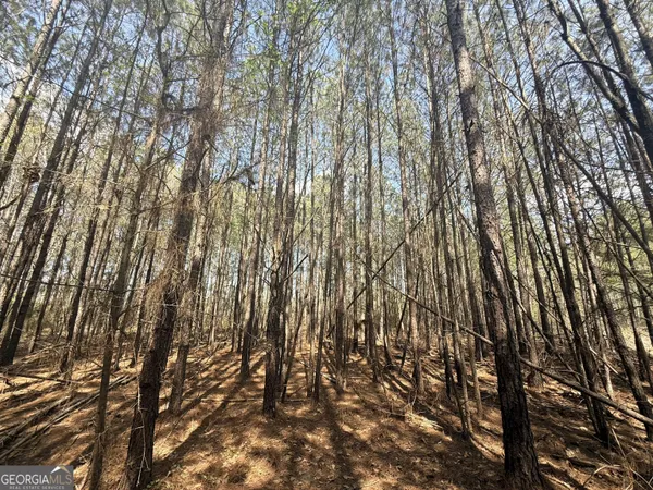 $74,165 | 14 Hollis Norman Road, Tignall, GA 30668