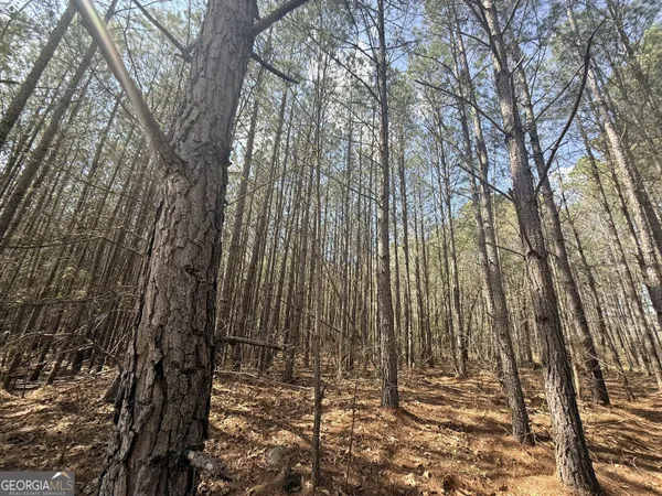 $74,165 | 14 Hollis Norman Road, Tignall, GA 30668