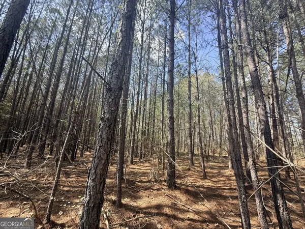 $74,165 | 14 Hollis Norman Road, Tignall, GA 30668