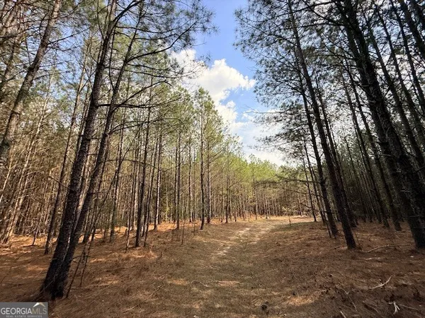 $74,165 | 14 Hollis Norman Road, Tignall, GA 30668