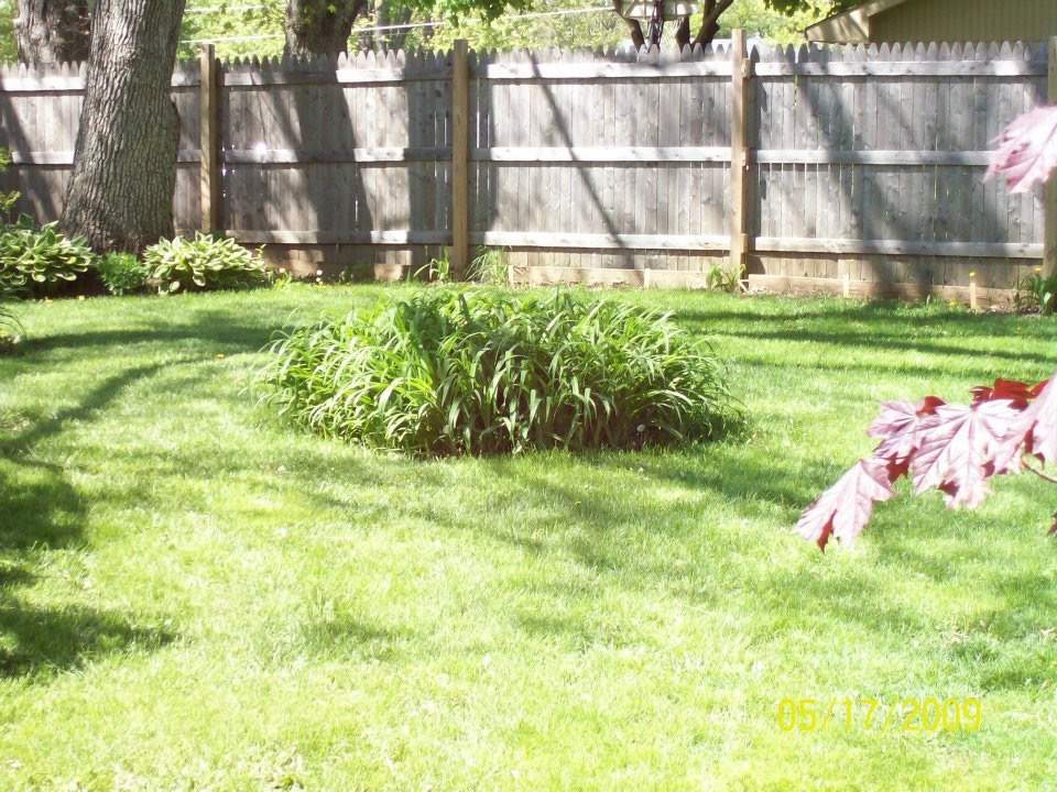10619 Grover Oaks Road Roscoe, IL 61073 - Photo 3 of 24 a backyard of a house with lots of green space and plants