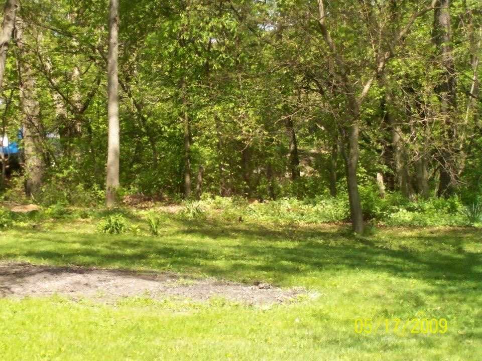 10619 Grover Oaks Road Roscoe, IL 61073 - Photo 4 of 24 a view of a yard with a trees