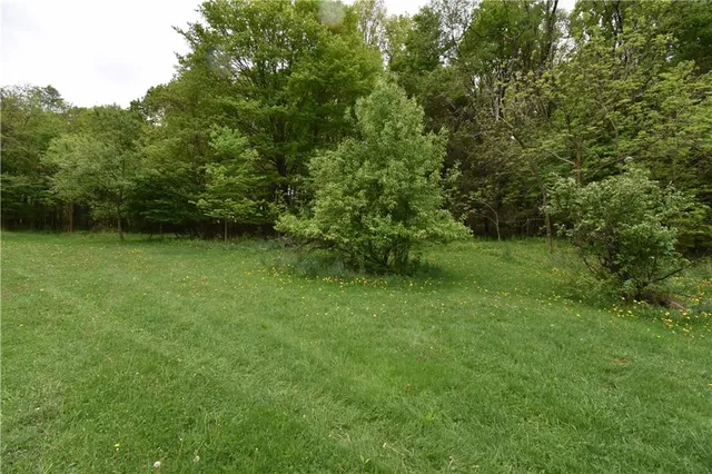 a view of a green yard