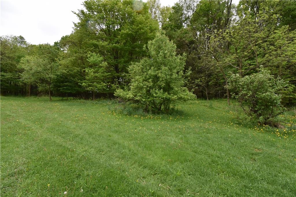 0 Rte 553 Hwy E Alverda, PA 15710 - Photo 2 of 9 a view of a green yard