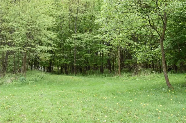 a view of a wooden floor in a yard