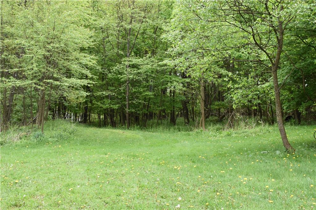 0 Rte 553 Hwy E Alverda, PA 15710 - Photo 4 of 9 a view of a wooden floor in a yard