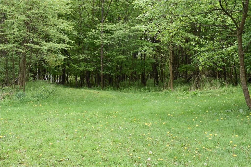 0 Rte 553 Hwy E Alverda, PA 15710 - Photo 5 of 9 a view of a lush green space and trees in the back
