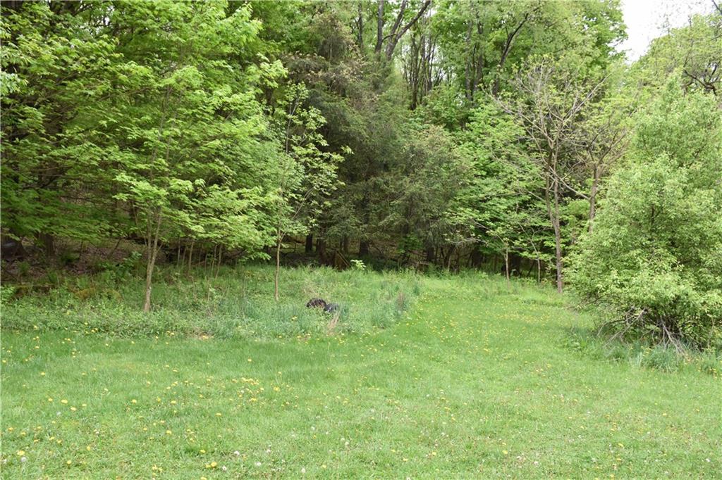0 Rte 553 Hwy E Alverda, PA 15710 - Photo 6 of 9 a view of outdoor space with a lake view