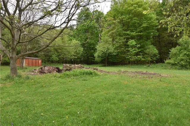 a backyard of a house with lots of green space