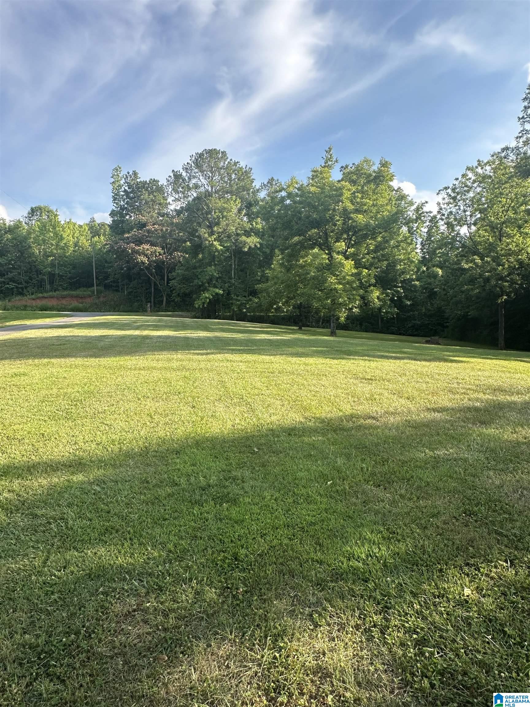 2300 County Road 129 Ranburne, AL 36273 - Photo 3 of 30