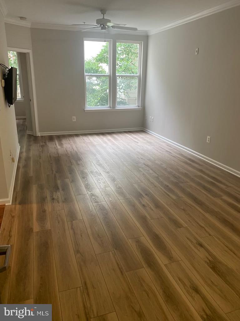 12001 Market Street, Unit 206 Reston, VA 20190 - Photo 7 of 22 Elegant Crown Molding w/ Custom Paint Throughout