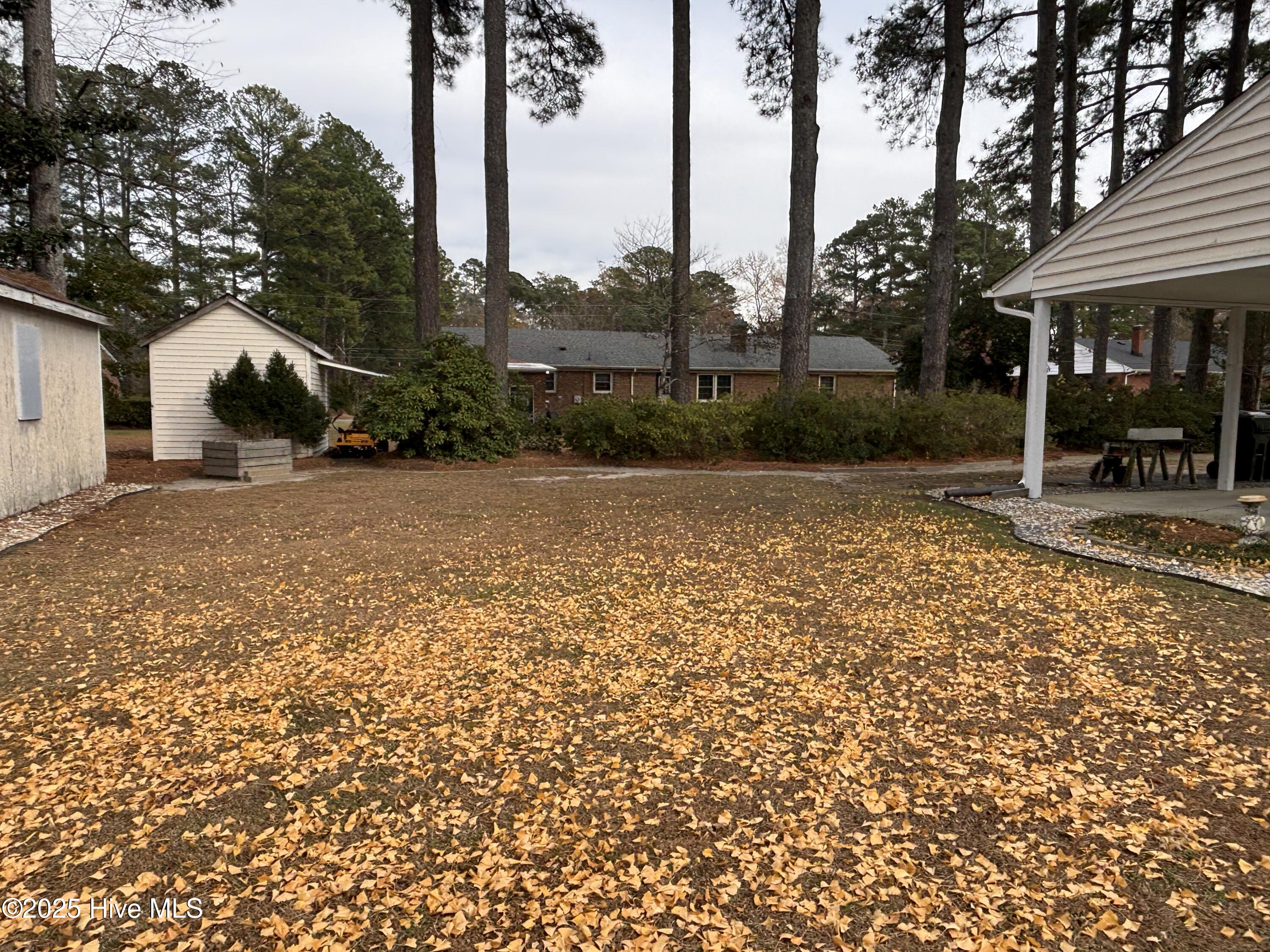103 Springlake Drive Murfreesboro, NC 27855 - Photo 52 of 58 Backyard