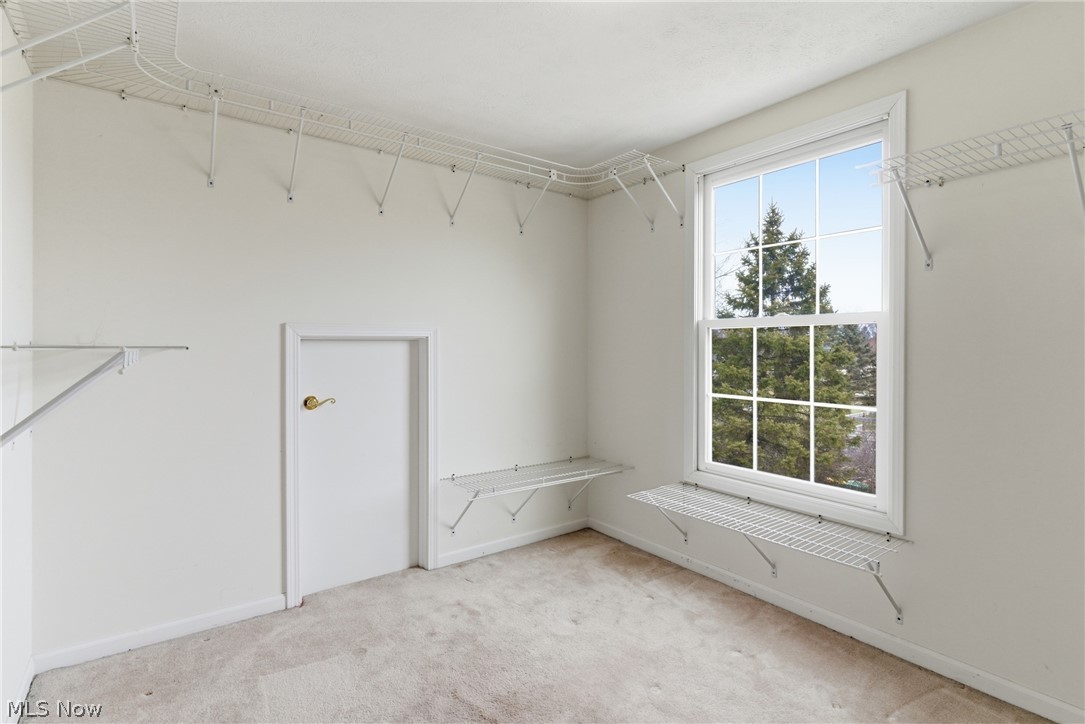 25684 Tryon Road Bedford, OH 44146 - Photo 14 of 19 Walk in closet with light carpet