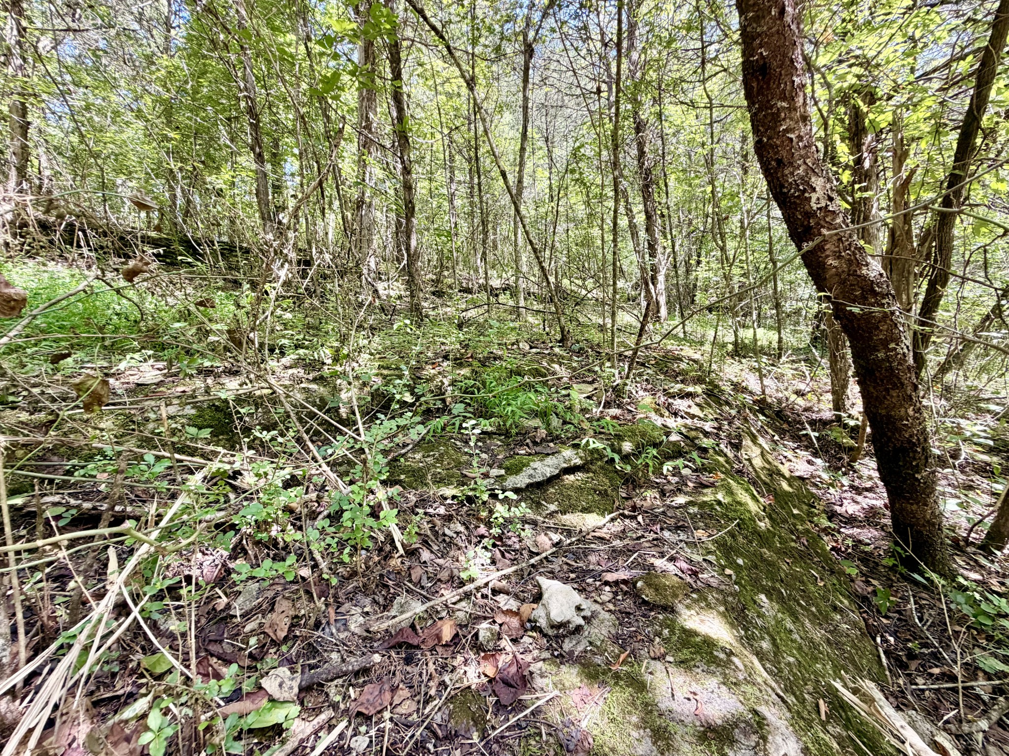 877 Hanna Branch Road Prospect, TN 38477 - Photo 32 of 49 Gallery Image 32