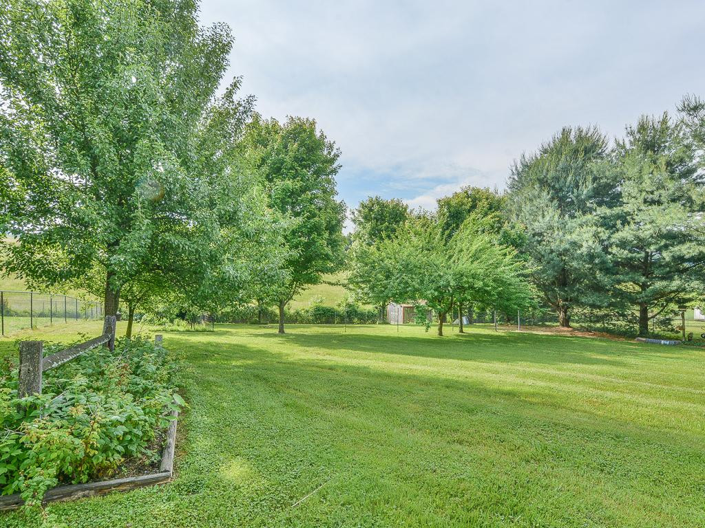 297 Leesburg Road Telford, TN 37690 - Photo 36 of 36 View of back yard