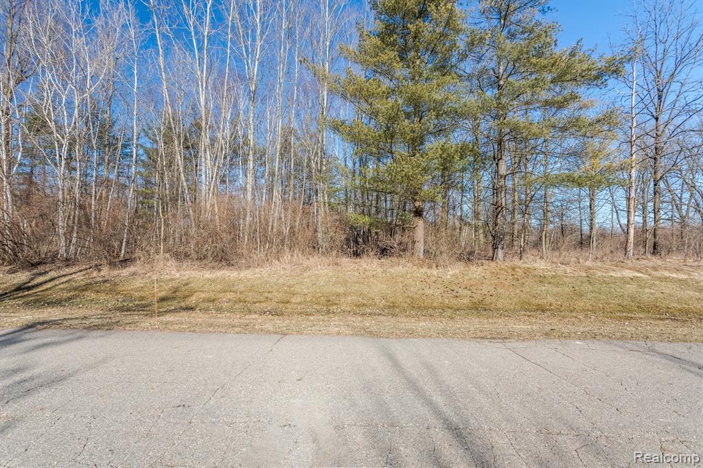 5116 Hidden Ridge Road Metamora, MI 48455 - Photo 13 of 21