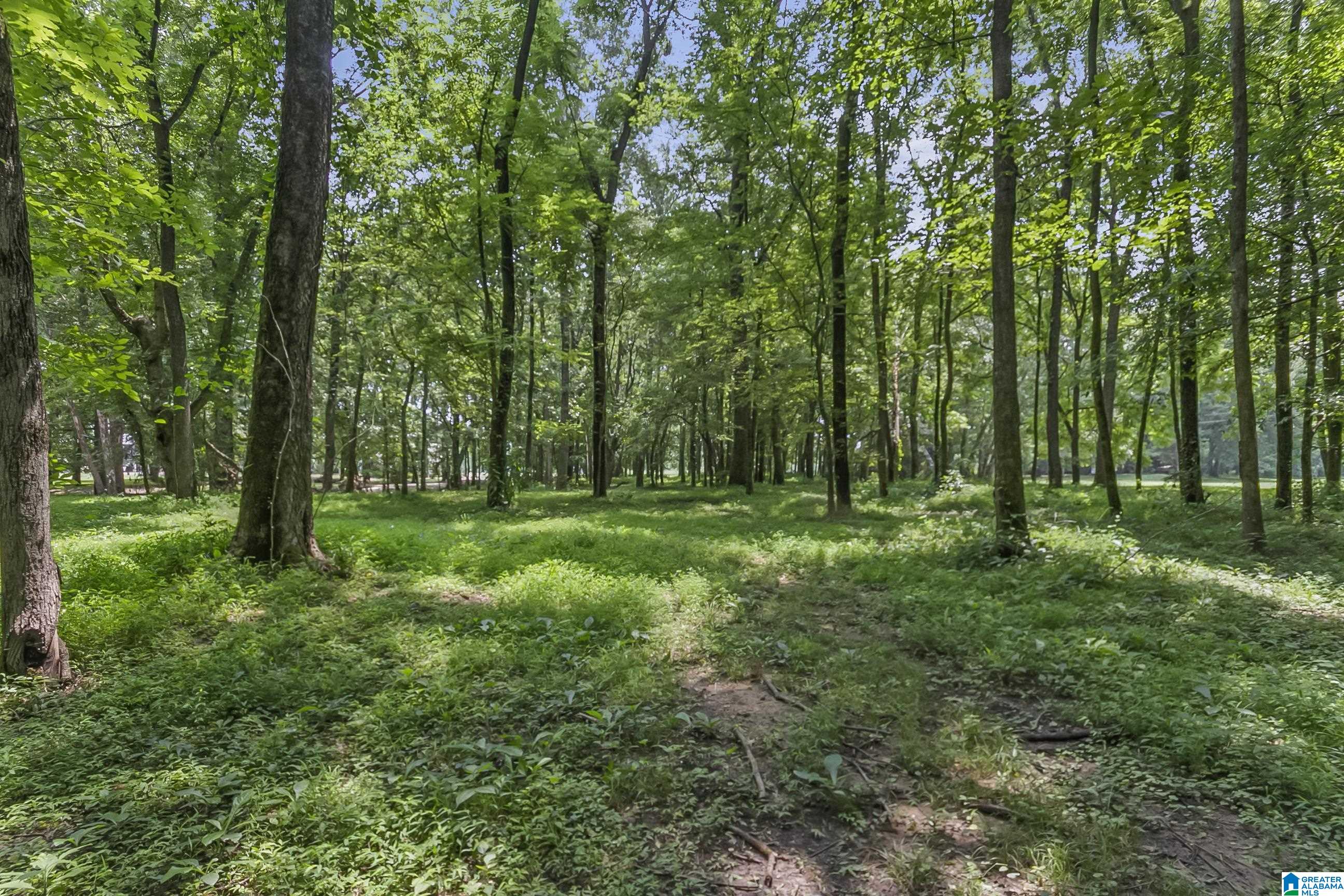 13615 Riverbend Road Moundville, AL 35474 - Photo 7 of 33
