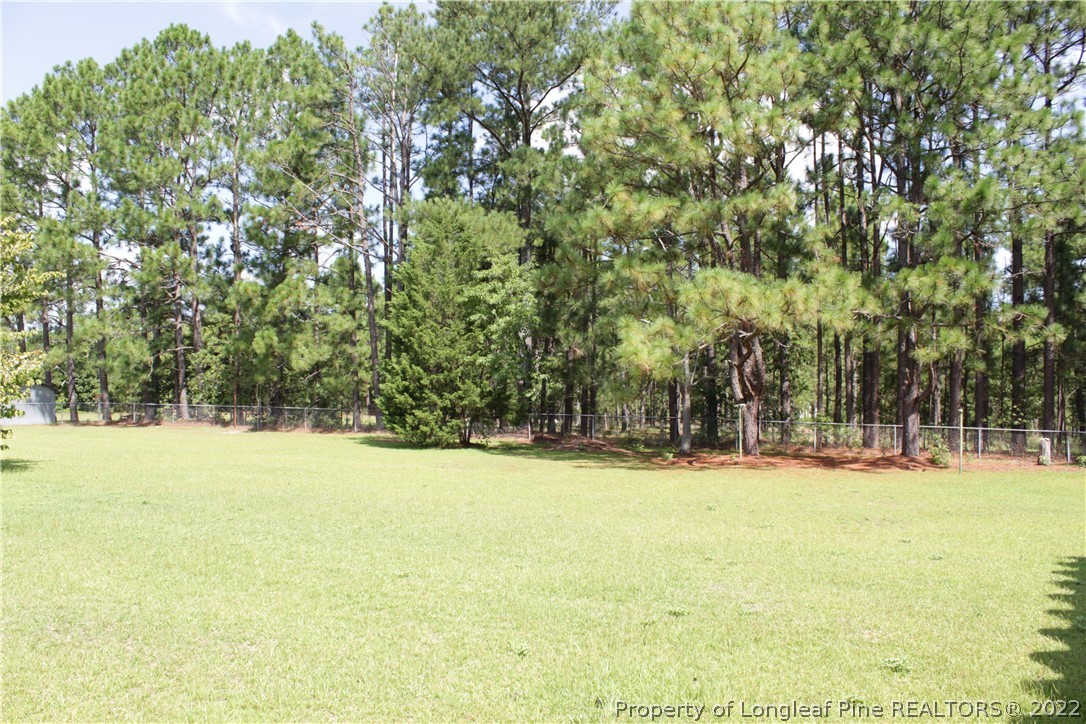 1274 Micro Tower Road Lillington, NC 27546 - Photo 19 of 23 Gallery Image 19