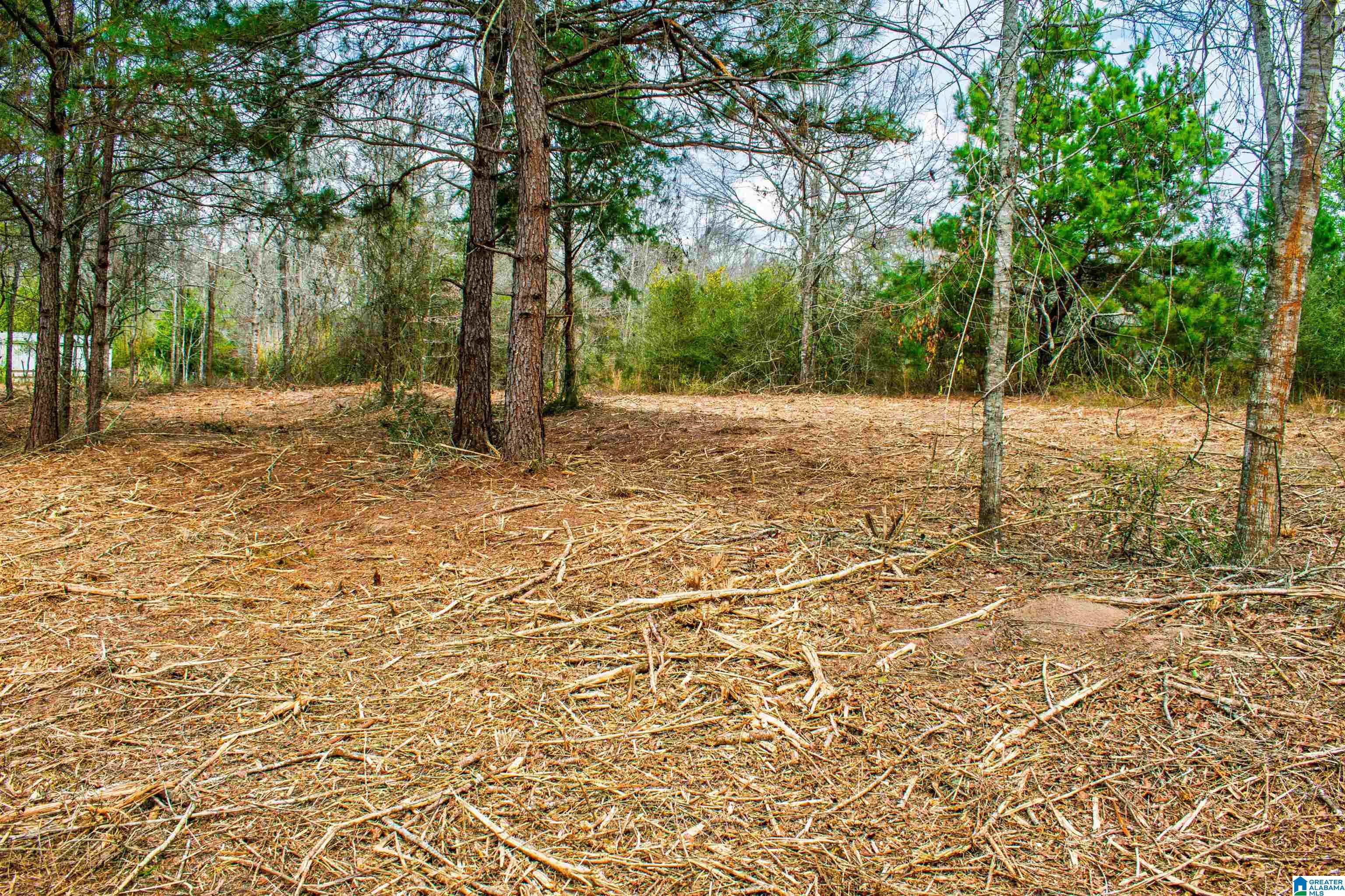 27180 Deer Run Road Opp, AL 36467 - Photo 56 of 60