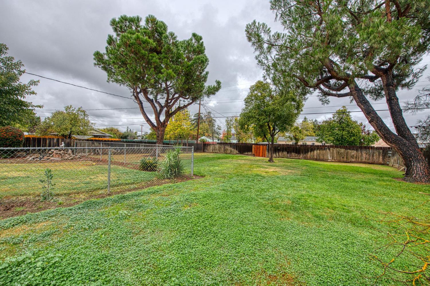 517 Rotan Avenue Madera, CA 93637 - Photo 25 of 32 a view of a park with large trees