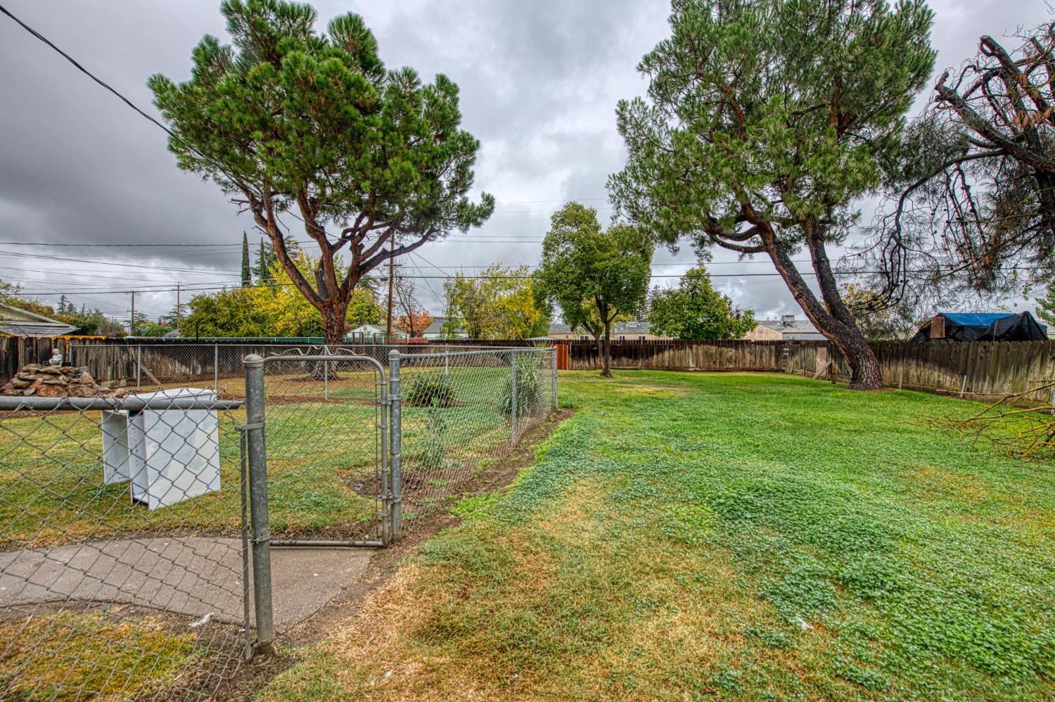 517 Rotan Avenue Madera, CA 93637 - Photo 31 of 32 a backyard of a house with lots of green space