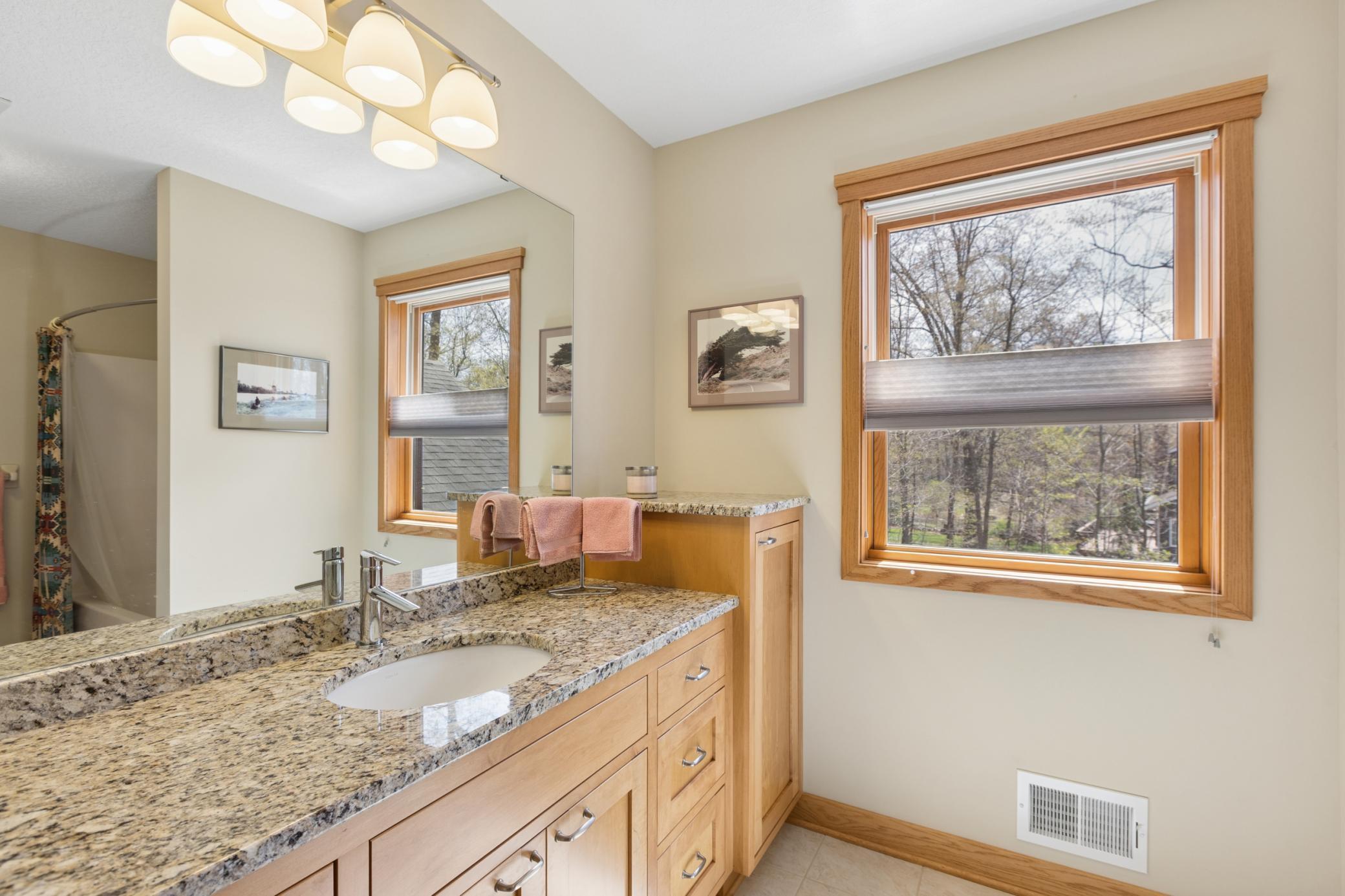 538 Jandel Avenue Northeast Hanover, MN 55341 - Photo 28 of 39