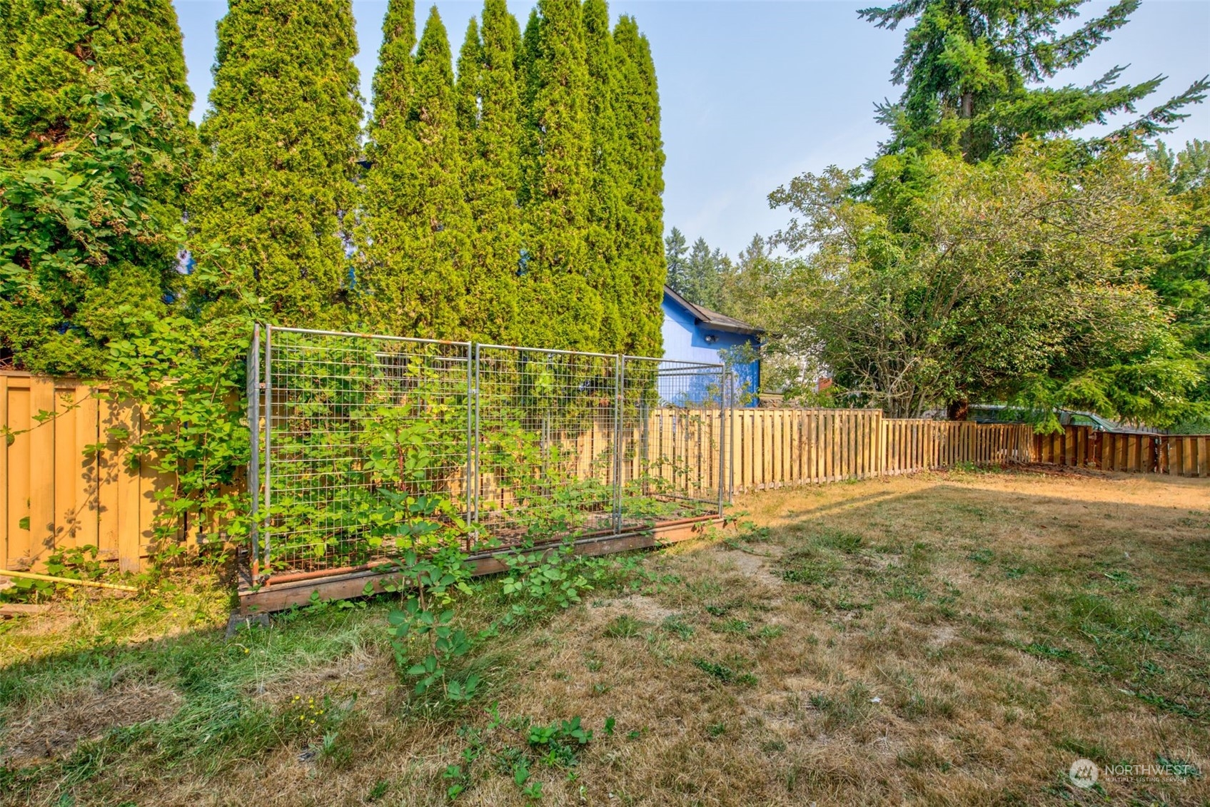 19334 144th Court Southeast Renton, WA 98058 - Photo 24 of 25