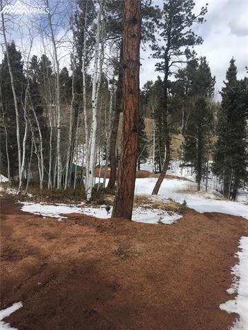 416 Alpine View Road Divide, CO 80814 - Photo 17 of 36 Gallery Image 17