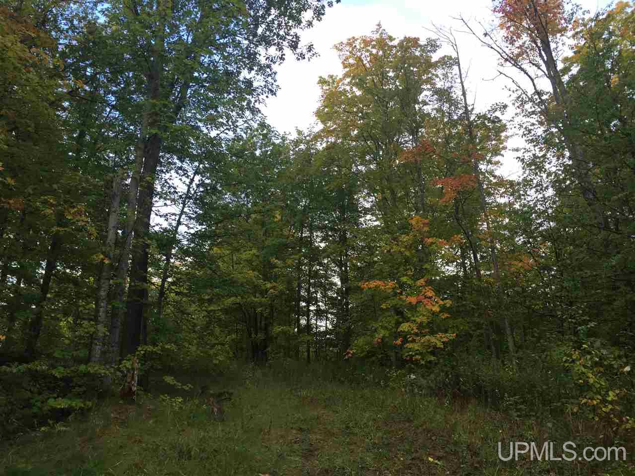 33 Makinen Road Jl Road Negaunee, MI 49866 - Photo 9 of 11