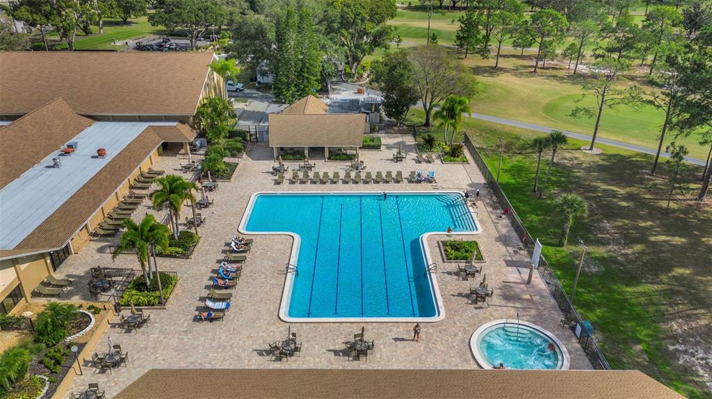 3400 Rugby Court Palm Harbor, FL 34684 - Photo 49 of 68
