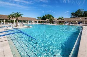 3400 Rugby Court Palm Harbor, FL 34684 - Photo 51 of 68