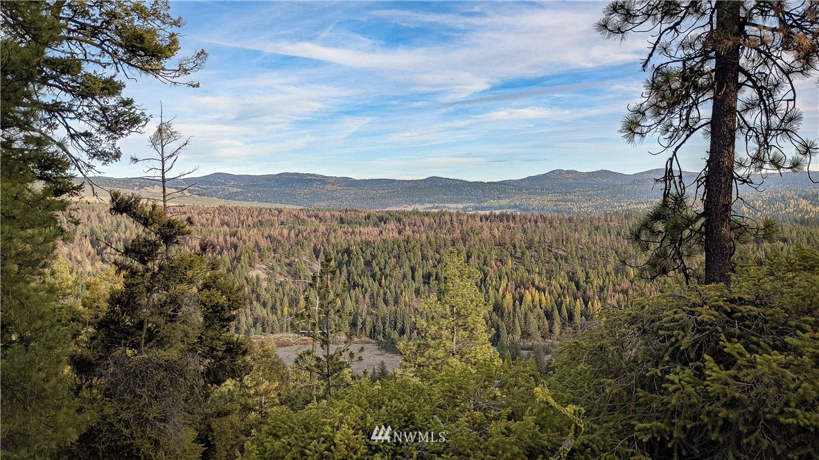 77 Fs 3230 Road Tonasket, WA 98855 - Photo 1 of 40 Gallery Image 1