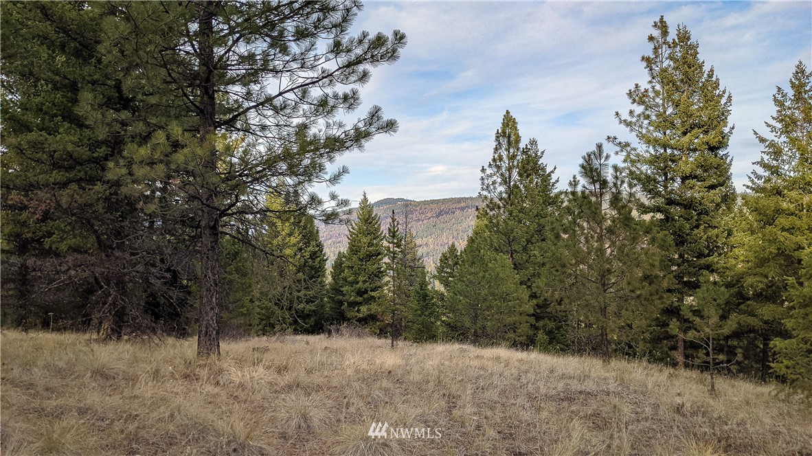 77 Fs 3230 Road Tonasket, WA 98855 - Photo 11 of 40 Gallery Image 11