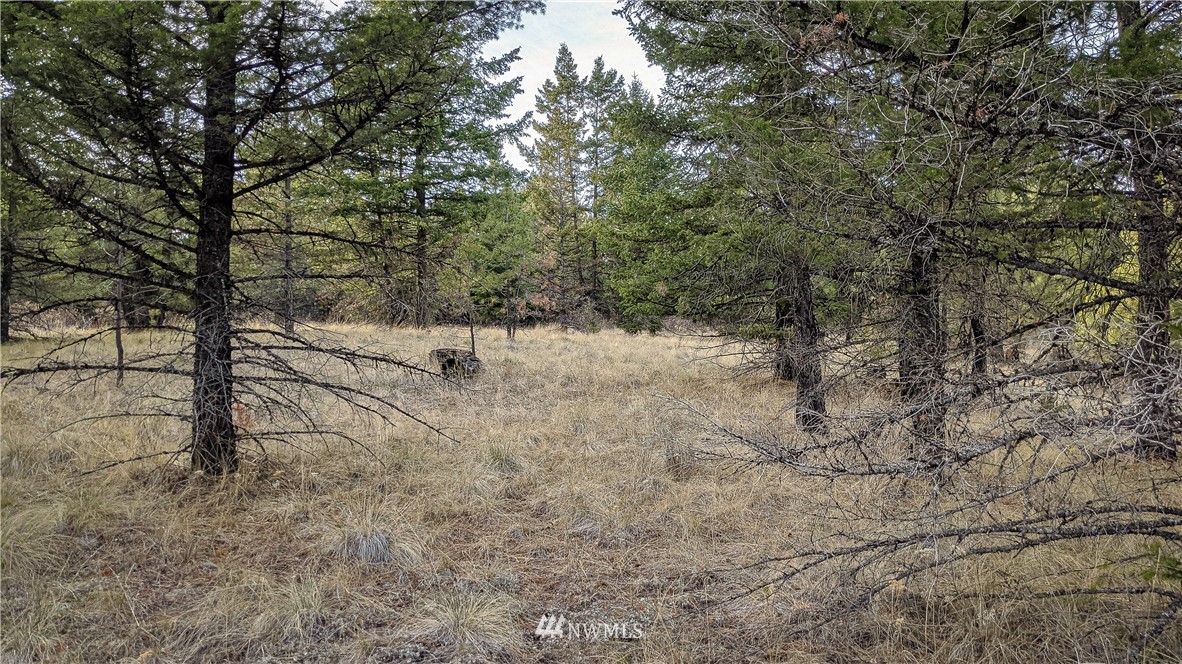 77 Fs 3230 Road Tonasket, WA 98855 - Photo 12 of 40 Gallery Image 12