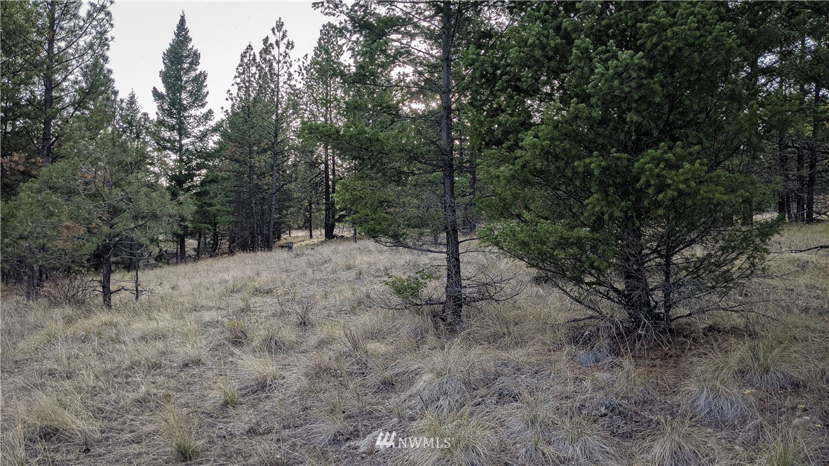 77 Fs 3230 Road Tonasket, WA 98855 - Photo 13 of 40 Gallery Image 13