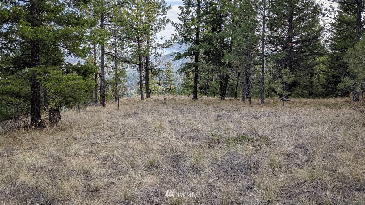 77 Fs 3230 Road Tonasket, WA 98855 - Photo 14 of 40 Gallery Image 14